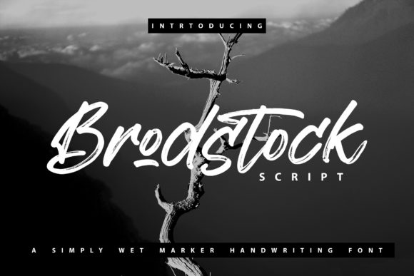 Brodstock: The Handwritten Font That Transformed My Brand Identity
