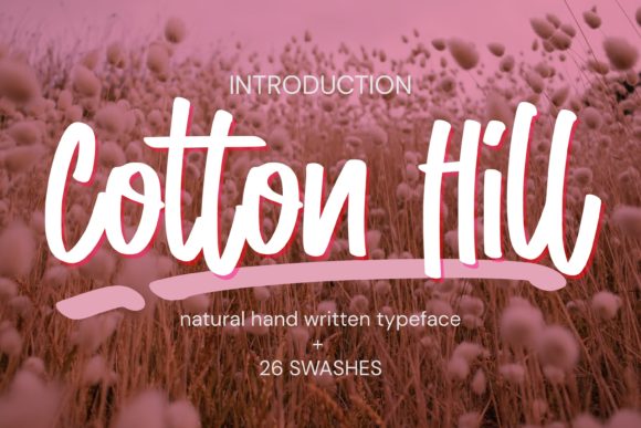 Cotton Hill: A Script Handwritten Typeface for Editorial Design