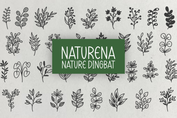 Naturena: The Botanical Dingbat Typeface for Authentic Campaign Design